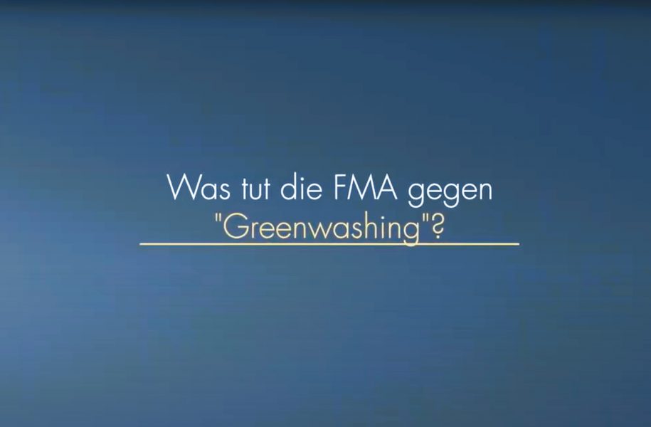 FMA Greenwashing Sustainable Finance